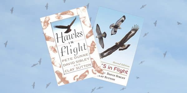 https://www.amazon.com/Hawks-Flight-Second-David-Sibley/dp/0395709598/ref=sr_1_1?ie=UTF8&qid=1515426651&sr=8-1&keywords=hawks+in+flight