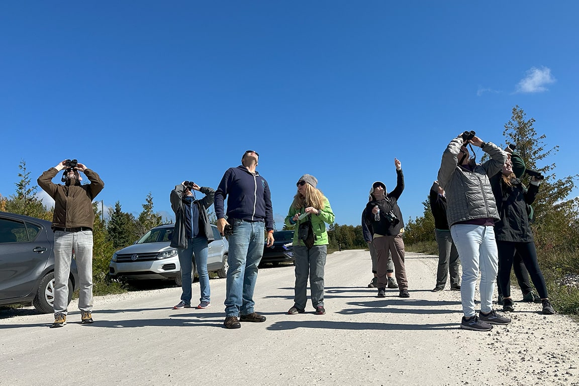 Michigan Raptor Migration Teaching Network - Hawks on the Wing
